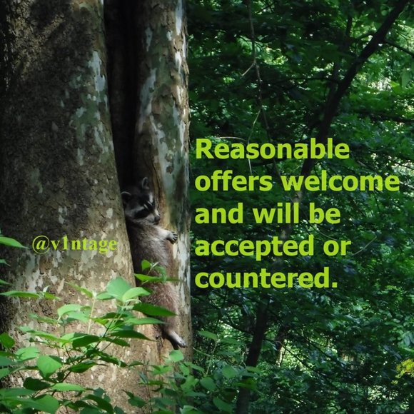 Vintage Lenox Shell Bowl ca.1930-1955 - Picture 10 of 10